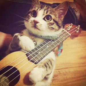 午夜裸体性播放
